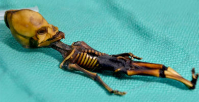 Pruebas de ADN revelan detalles sorprendentes sobre el pequeño "extraterrestre de Atacama"
