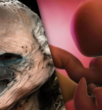 Científicos crean con éxito híbridos humano - pollo