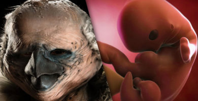 Científicos crean con éxito híbridos humano - pollo