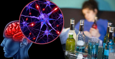 En una borrachera mueren un millón de neuronas