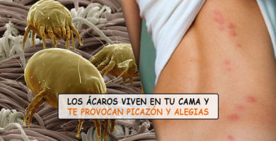 Científicos: Las camas desordenadas pueden mantenernos sanos