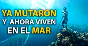 Los Bajau: La Tribu que mutó y ahora puede sumergirse a 70 metros bajo el mar